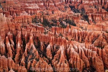 America;American-Southwest;badland;badlands;Bryce-Amphitheater;Bryce-Amphitheatre;Bryce-Canyon;Bryce-Canyon-N.P.;Bryce-Canyon-National-Park;Bryce-Canyon-NP;Bryce-Point;clay;column;columns;earth-pyramid;earth-pyramids;eroded;erosion;fairy-chimney;fairy-chimneys;formation;formations;geological;geology;hoodoo;hoodoos;layer;layers;national-park;national-parks;natural-geological-formation;natural-geological-formations;natural-tower;natural-towers;North-America;Paunsaugunt-Plateau;pillar;pillars;pinnacle;pinnacles;rock;rock-chimney;rock-chimneys;rock-column;rock-columns;rock-formation;rock-formations;rock-pillar;rock-pillars;rock-pinnacle;rock-pinnacles;rock-spire;rock-spires;rock-tower;rock-towers;rocks;Sandstone;South-west-United-States;South-west-US;South-west-USA;South-western-United-States;South-western-US;South-western-USA;Southwest-United-States;Southwest-US;Southwest-USA;Southwestern-United-States;Southwestern-US;Southwestern-USA;States;stone;tent-rock;tent-rocks;the-Southwest;U.S.A;United-States;United-States-of-America;unusual-natural-feature;unusual-natural-features;unusual-natural-formation;unusual-natural-formations;USA;UT;Utah;weathered;weathering;wilderness;wilderness-area;wilderness-areas
