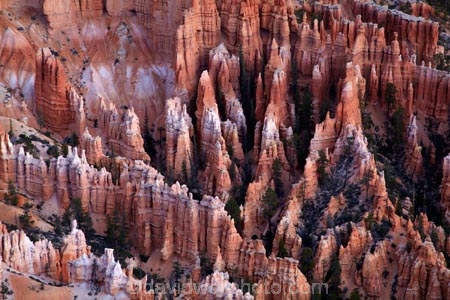 America;American-Southwest;badland;badlands;Bryce-Amphitheater;Bryce-Amphitheatre;Bryce-Canyon;Bryce-Canyon-N.P.;Bryce-Canyon-National-Park;Bryce-Canyon-NP;Bryce-Point;clay;column;columns;earth-pyramid;earth-pyramids;eroded;erosion;fairy-chimney;fairy-chimneys;formation;formations;geological;geology;hoodoo;hoodoos;layer;layers;lookout;lookouts;national-park;national-parks;natural-geological-formation;natural-geological-formations;natural-tower;natural-towers;North-America;overlook;Paunsaugunt-Plateau;pillar;pillars;pinnacle;pinnacles;rock;rock-chimney;rock-chimneys;rock-column;rock-columns;rock-formation;rock-formations;rock-pillar;rock-pillars;rock-pinnacle;rock-pinnacles;rock-spire;rock-spires;rock-tower;rock-towers;rocks;Sandstone;South-west-United-States;South-west-US;South-west-USA;South-western-United-States;South-western-US;South-western-USA;Southwest-United-States;Southwest-US;Southwest-USA;Southwestern-United-States;Southwestern-US;Southwestern-USA;States;stone;tent-rock;tent-rocks;the-Southwest;U.S.A;United-States;United-States-of-America;unusual-natural-feature;unusual-natural-features;unusual-natural-formation;unusual-natural-formations;USA;UT;Utah;view;viewpoint;viewpoints;views;weathered;weathering;wilderness;wilderness-area;wilderness-areas