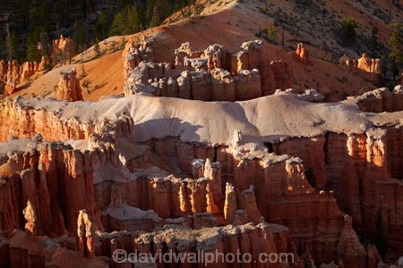 America;American-Southwest;badland;badlands;Bryce-Amphitheater;Bryce-Amphitheatre;Bryce-Canyon;Bryce-Canyon-N.P.;Bryce-Canyon-National-Park;Bryce-Canyon-NP;Bryce-Point;clay;column;columns;earth-pyramid;earth-pyramids;eroded;erosion;fairy-chimney;fairy-chimneys;formation;formations;geological;geology;hoodoo;hoodoos;layer;layers;lookout;lookouts;national-park;national-parks;natural-geological-formation;natural-geological-formations;natural-tower;natural-towers;North-America;overlook;Paunsaugunt-Plateau;pillar;pillars;pinnacle;pinnacles;rock;rock-chimney;rock-chimneys;rock-column;rock-columns;rock-formation;rock-formations;rock-pillar;rock-pillars;rock-pinnacle;rock-pinnacles;rock-spire;rock-spires;rock-tower;rock-towers;rocks;Sandstone;South-west-United-States;South-west-US;South-west-USA;South-western-United-States;South-western-US;South-western-USA;Southwest-United-States;Southwest-US;Southwest-USA;Southwestern-United-States;Southwestern-US;Southwestern-USA;States;stone;tent-rock;tent-rocks;the-Southwest;U.S.A;United-States;United-States-of-America;unusual-natural-feature;unusual-natural-features;unusual-natural-formation;unusual-natural-formations;USA;UT;Utah;view;viewpoint;viewpoints;views;weathered;weathering;wilderness;wilderness-area;wilderness-areas