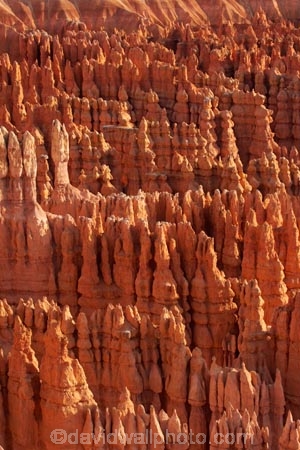 America;American-Southwest;badland;badlands;Bryce-Amphitheater;Bryce-Amphitheatre;Bryce-Canyon;Bryce-Canyon-N.P.;Bryce-Canyon-National-Park;Bryce-Canyon-NP;clay;column;columns;earth-pyramid;earth-pyramids;eroded;erosion;fairy-chimney;fairy-chimneys;formation;formations;geological;geology;hoodoo;hoodoos;layer;layers;lookout;lookouts;national-park;national-parks;natural-geological-formation;natural-geological-formations;natural-tower;natural-towers;North-America;overlook;Paunsaugunt-Plateau;pillar;pillars;pinnacle;pinnacles;rock;rock-chimney;rock-chimneys;rock-column;rock-columns;rock-formation;rock-formations;rock-pillar;rock-pillars;rock-pinnacle;rock-pinnacles;rock-spire;rock-spires;rock-tower;rock-towers;rocks;Sandstone;South-west-United-States;South-west-US;South-west-USA;South-western-United-States;South-western-US;South-western-USA;Southwest-United-States;Southwest-US;Southwest-USA;Southwestern-United-States;Southwestern-US;Southwestern-USA;States;stone;tent-rock;tent-rocks;the-Southwest;U.S.A;United-States;United-States-of-America;unusual-natural-feature;unusual-natural-features;unusual-natural-formation;unusual-natural-formations;USA;UT;Utah;view;viewpoint;viewpoints;views;weathered;weathering;wilderness;wilderness-area;wilderness-areas