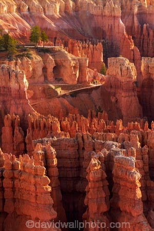 America;American-Southwest;badland;badlands;Bryce-Amphitheater;Bryce-Amphitheatre;Bryce-Canyon;Bryce-Canyon-N.P.;Bryce-Canyon-National-Park;Bryce-Canyon-NP;clay;column;columns;earth-pyramid;earth-pyramids;eroded;erosion;fairy-chimney;fairy-chimneys;formation;formations;geological;geology;hiker;hikers;hiking-path;hiking-paths;hiking-track;hiking-tracks;hiking-trail;hiking-trails;hoodoo;hoodoos;Inspiration-Point;layer;layers;lookout;lookouts;national-park;national-parks;natural-geological-formation;natural-geological-formations;natural-tower;natural-towers;Navajo-Loop;Navajo-Loop-path;Navajo-Loop-track;Navajo-Loop-trail;Navajo-Loop-walk;Navajo-path;Navajo-track;Navajo-trail;Navajo-walk;North-America;overlook;path;paths;pathway;pathways;Paunsaugunt-Plateau;people;person;pillar;pillars;pinnacle;pinnacles;rock;rock-chimney;rock-chimneys;rock-column;rock-columns;rock-formation;rock-formations;rock-pillar;rock-pillars;rock-pinnacle;rock-pinnacles;rock-spire;rock-spires;rock-tower;rock-towers;rocks;route;routes;Sandstone;South-west-United-States;South-west-US;South-west-USA;South-western-United-States;South-western-US;South-western-USA;Southwest-United-States;Southwest-US;Southwest-USA;Southwestern-United-States;Southwestern-US;Southwestern-USA;States;stone;Sunset-Point;tent-rock;tent-rocks;the-Southwest;tourism;tourist;tourists;track;tracks;trail;trails;tramping-track;tramping-tracks;tramping-trail;tramping-trails;U.S.A;United-States;United-States-of-America;unusual-natural-feature;unusual-natural-features;unusual-natural-formation;unusual-natural-formations;USA;UT;Utah;view;viewpoint;viewpoints;views;walker;walkers;walking-path;walking-paths;walking-track;walking-tracks;walking-trail;walking-trails;walkway;walkways;weathered;weathering;wilderness;wilderness-area;wilderness-areas