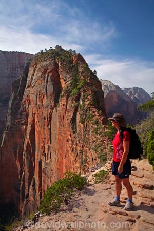 adventure;adventurous;America;American-Southwest;Angels-Landing;Angels-Landing-track;Angels-Landing-trail;Angel’s-Landing;Angel’s-Landing-track;Angel’s-Landing-trail;bluff;bluffs;cliff;cliffs;danger;dangerous;dangerous-hike;dangerous-track;female;females;hiker;hikers;hiking-path;hiking-paths;hiking-track;hiking-tracks;hiking-trail;hiking-trails;lookout;lookouts;national-parks;overlook;path;paths;pathway;pathways;people;person;route;routes;Scout-Lookout;Scouts-Lookout;South-west-United-States;South-west-US;South-west-USA;South-western-United-States;South-western-US;South-western-USA;Southwest-United-States;Southwest-US;Southwest-USA;Southwestern-United-States;Southwestern-US;Southwestern-USA;States;the-Southwest;tourism;tourist;tourists;track;tracks;trail;trails;tramping-track;tramping-tracks;tramping-trail;tramping-trails;U.S.A;United-States;United-States-of-America;USA;UT;Utah;view;viewpoint;viewpoints;views;walker;walkers;walking-path;walking-paths;walking-track;walking-tracks;walking-trail;walking-trails;walkway;walkways;woman;women;Zion;Zion-Canyon;Zion-N.P.;Zion-National-Park;Zion-NP