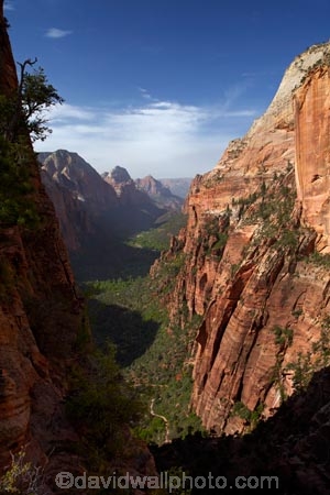 America;American-Southwest;Angels-Landing;Angels-Landing-track;Angels-Landing-trail;Angelâ€™s-Landing;Angelâ€™s-Landing-track;Angelâ€™s-Landing-trail;bluff;bluffs;cliff;cliffs;hiking-path;hiking-paths;hiking-track;hiking-tracks;hiking-trail;hiking-trails;lookout;lookouts;national-parks;overlook;path;paths;pathway;pathways;route;routes;South-west-United-States;South-west-US;South-west-USA;South-western-United-States;South-western-US;South-western-USA;Southwest-United-States;Southwest-US;Southwest-USA;Southwestern-United-States;Southwestern-US;Southwestern-USA;States;the-Southwest;track;tracks;trail;trails;tramping-track;tramping-tracks;tramping-trail;tramping-trails;U.S.A;United-States;United-States-of-America;USA;UT;Utah;view;viewpoint;viewpoints;views;walking-path;walking-paths;walking-track;walking-tracks;walking-trail;walking-trails;walkway;walkways;Zion;Zion-Canyon;Zion-N.P.;Zion-National-Park;Zion-NP