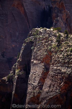 adventure;adventurous;America;American-Southwest;Angels-Landing;Angels-Landing-track;Angels-Landing-trail;Angelâ€™s-Landing;Angelâ€™s-Landing-track;Angelâ€™s-Landing-trail;bluff;bluffs;cliff;cliffs;danger;dangerous;dangerous-hike;dangerous-track;hiking-path;hiking-paths;hiking-track;hiking-tracks;hiking-trail;hiking-trails;lookout;lookouts;national-parks;overlook;path;paths;pathway;pathways;route;routes;South-west-United-States;South-west-US;South-west-USA;South-western-United-States;South-western-US;South-western-USA;Southwest-United-States;Southwest-US;Southwest-USA;Southwestern-United-States;Southwestern-US;Southwestern-USA;States;the-Southwest;track;tracks;trail;trails;tramping-track;tramping-tracks;tramping-trail;tramping-trails;U.S.A;United-States;United-States-of-America;USA;UT;Utah;view;viewpoint;viewpoints;views;walking-path;walking-paths;walking-track;walking-tracks;walking-trail;walking-trails;walkway;walkways;Zion;Zion-Canyon;Zion-N.P.;Zion-National-Park;Zion-NP