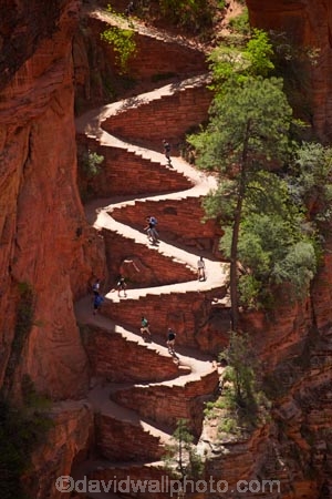 America;American-Southwest;Angels-Landing;Angels-Landing-track;Angels-Landing-trail;Angel’s-Landing;Angel’s-Landing-track;Angel’s-Landing-trail;bluff;bluffs;cliff;cliffs;hairpin-bend;hairpin-bends;hairpin-corner;hairpin-corners;hiker;hikers;hiking-path;hiking-paths;hiking-track;hiking-tracks;hiking-trail;hiking-trails;national-park;national-parks;path;paths;pathway;pathways;people;person;Refrigerator-Canyon;route;routes;South-west-United-States;South-west-US;South-west-USA;South-western-United-States;South-western-US;South-western-USA;Southwest-United-States;Southwest-US;Southwest-USA;Southwestern-United-States;Southwestern-US;Southwestern-USA;States;steep;switchback;switchback-track;switchback-tracks;switchbacks;the-Southwest;tourism;tourist;tourists;track;tracks;trail;trails;tramping-track;tramping-tracks;tramping-trail;tramping-trails;U.S.A;United-States;United-States-of-America;USA;UT;Utah;walker;walkers;walking-path;walking-paths;walking-track;walking-tracks;walking-trail;walking-trails;walkway;walkways;Walters-Wiggles;Walters-Wiggles-zigzag;Walters-Wiggles;Walters-Wiggles-zigzag;West-Rim-Track;West-Rim-Trail;zig-zag;zig-zag-trail;zig-zag-trails;zig-zags;zig_zag-path;zig_zag-paths;zig_zags;zigzag-track;zigzag-tracks;zigzags;Zion;Zion-N.P.;Zion-National-Park;Zion-NP