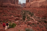 America;American-Southwest;Arches-N.P.;Arches-National-Park;Arches-NP;Entrada-Sandstone;geological;geology;hiker;hikers;hiking-path;hiking-paths;hiking-track;hiking-tracks;hiking-trail;hiking-trails;Moab;national-park;national-parks;natural-geological-formation;natural-geological-formations;Navajo-Sandstone;Park-Ave;Park-Avenue;Park-Avenue-Track;Park-Avenue-Trail;path;paths;pathway;pathways;people;person;rock;rock-formation;rock-formations;rocks;route;routes;sandstone;South-west-United-States;South-west-US;South-west-USA;South-western-United-States;South-western-US;South-western-USA;Southwest-United-States;Southwest-US;Southwest-USA;Southwestern-United-States;Southwestern-US;Southwestern-USA;States;stone;the-Southwest;tourism;tourist;tourists;track;tracks;trail;trails;tramping-track;tramping-tracks;tramping-trail;tramping-trails;U.S.A;United-States;United-States-of-America;unusual-natural-feature;unusual-natural-features;unusual-natural-formation;unusual-natural-formations;US-National-Park;US-National-Parks;USA;UT;Utah;walker;walkers;walking-path;walking-paths;walking-track;walking-tracks;walking-trail;walking-trails;walkway;walkways;wilderness;wilderness-area;wilderness-areas