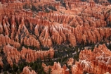 America;American-Southwest;badland;badlands;Bryce-Amphitheater;Bryce-Amphitheatre;Bryce-Canyon;Bryce-Canyon-N.P.;Bryce-Canyon-National-Park;Bryce-Canyon-NP;Bryce-Point;clay;column;columns;earth-pyramid;earth-pyramids;eroded;erosion;fairy-chimney;fairy-chimneys;formation;formations;geological;geology;hoodoo;hoodoos;layer;layers;lookout;lookouts;national-park;national-parks;natural-geological-formation;natural-geological-formations;natural-tower;natural-towers;North-America;overlook;Paunsaugunt-Plateau;pillar;pillars;pinnacle;pinnacles;rock;rock-chimney;rock-chimneys;rock-column;rock-columns;rock-formation;rock-formations;rock-pillar;rock-pillars;rock-pinnacle;rock-pinnacles;rock-spire;rock-spires;rock-tower;rock-towers;rocks;Sandstone;South-west-United-States;South-west-US;South-west-USA;South-western-United-States;South-western-US;South-western-USA;Southwest-United-States;Southwest-US;Southwest-USA;Southwestern-United-States;Southwestern-US;Southwestern-USA;States;stone;tent-rock;tent-rocks;the-Southwest;U.S.A;United-States;United-States-of-America;unusual-natural-feature;unusual-natural-features;unusual-natural-formation;unusual-natural-formations;USA;UT;Utah;view;viewpoint;viewpoints;views;weathered;weathering;wilderness;wilderness-area;wilderness-areas