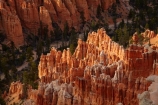 America;American-Southwest;badland;badlands;Bryce-Amphitheater;Bryce-Amphitheatre;Bryce-Canyon;Bryce-Canyon-N.P.;Bryce-Canyon-National-Park;Bryce-Canyon-NP;Bryce-Point;clay;column;columns;earth-pyramid;earth-pyramids;eroded;erosion;fairy-chimney;fairy-chimneys;formation;formations;geological;geology;hoodoo;hoodoos;layer;layers;lookout;lookouts;national-park;national-parks;natural-geological-formation;natural-geological-formations;natural-tower;natural-towers;North-America;overlook;Paunsaugunt-Plateau;pillar;pillars;pinnacle;pinnacles;rock;rock-chimney;rock-chimneys;rock-column;rock-columns;rock-formation;rock-formations;rock-pillar;rock-pillars;rock-pinnacle;rock-pinnacles;rock-spire;rock-spires;rock-tower;rock-towers;rocks;Sandstone;South-west-United-States;South-west-US;South-west-USA;South-western-United-States;South-western-US;South-western-USA;Southwest-United-States;Southwest-US;Southwest-USA;Southwestern-United-States;Southwestern-US;Southwestern-USA;States;stone;tent-rock;tent-rocks;the-Southwest;U.S.A;United-States;United-States-of-America;unusual-natural-feature;unusual-natural-features;unusual-natural-formation;unusual-natural-formations;USA;UT;Utah;view;viewpoint;viewpoints;views;weathered;weathering;wilderness;wilderness-area;wilderness-areas