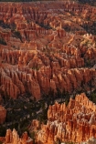 America;American-Southwest;badland;badlands;Bryce-Amphitheater;Bryce-Amphitheatre;Bryce-Canyon;Bryce-Canyon-N.P.;Bryce-Canyon-National-Park;Bryce-Canyon-NP;Bryce-Point;clay;column;columns;earth-pyramid;earth-pyramids;eroded;erosion;fairy-chimney;fairy-chimneys;formation;formations;geological;geology;hoodoo;hoodoos;layer;layers;lookout;lookouts;national-park;national-parks;natural-geological-formation;natural-geological-formations;natural-tower;natural-towers;North-America;overlook;Paunsaugunt-Plateau;pillar;pillars;pinnacle;pinnacles;rock;rock-chimney;rock-chimneys;rock-column;rock-columns;rock-formation;rock-formations;rock-pillar;rock-pillars;rock-pinnacle;rock-pinnacles;rock-spire;rock-spires;rock-tower;rock-towers;rocks;Sandstone;South-west-United-States;South-west-US;South-west-USA;South-western-United-States;South-western-US;South-western-USA;Southwest-United-States;Southwest-US;Southwest-USA;Southwestern-United-States;Southwestern-US;Southwestern-USA;States;stone;tent-rock;tent-rocks;the-Southwest;U.S.A;United-States;United-States-of-America;unusual-natural-feature;unusual-natural-features;unusual-natural-formation;unusual-natural-formations;USA;UT;Utah;view;viewpoint;viewpoints;views;weathered;weathering;wilderness;wilderness-area;wilderness-areas
