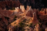 America;American-Southwest;badland;badlands;Bryce-Amphitheater;Bryce-Amphitheatre;Bryce-Canyon;Bryce-Canyon-N.P.;Bryce-Canyon-National-Park;Bryce-Canyon-NP;Bryce-Point;clay;column;columns;earth-pyramid;earth-pyramids;eroded;erosion;fairy-chimney;fairy-chimneys;formation;formations;geological;geology;hoodoo;hoodoos;layer;layers;lookout;lookouts;national-park;national-parks;natural-geological-formation;natural-geological-formations;natural-tower;natural-towers;North-America;overlook;Paunsaugunt-Plateau;pillar;pillars;pinnacle;pinnacles;rock;rock-chimney;rock-chimneys;rock-column;rock-columns;rock-formation;rock-formations;rock-pillar;rock-pillars;rock-pinnacle;rock-pinnacles;rock-spire;rock-spires;rock-tower;rock-towers;rocks;Sandstone;South-west-United-States;South-west-US;South-west-USA;South-western-United-States;South-western-US;South-western-USA;Southwest-United-States;Southwest-US;Southwest-USA;Southwestern-United-States;Southwestern-US;Southwestern-USA;States;stone;tent-rock;tent-rocks;the-Southwest;U.S.A;United-States;United-States-of-America;unusual-natural-feature;unusual-natural-features;unusual-natural-formation;unusual-natural-formations;USA;UT;Utah;view;viewpoint;viewpoints;views;weathered;weathering;wilderness;wilderness-area;wilderness-areas