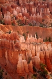America;American-Southwest;badland;badlands;Bryce-Amphitheater;Bryce-Amphitheatre;Bryce-Canyon;Bryce-Canyon-N.P.;Bryce-Canyon-National-Park;Bryce-Canyon-NP;clay;column;columns;earth-pyramid;earth-pyramids;eroded;erosion;fairy-chimney;fairy-chimneys;formation;formations;geological;geology;hoodoo;hoodoos;Inspiration-Point;layer;layers;lookout;lookouts;national-park;national-parks;natural-geological-formation;natural-geological-formations;natural-tower;natural-towers;North-America;overlook;Paunsaugunt-Plateau;pillar;pillars;pinnacle;pinnacles;rock;rock-chimney;rock-chimneys;rock-column;rock-columns;rock-formation;rock-formations;rock-pillar;rock-pillars;rock-pinnacle;rock-pinnacles;rock-spire;rock-spires;rock-tower;rock-towers;rocks;Sandstone;South-west-United-States;South-west-US;South-west-USA;South-western-United-States;South-western-US;South-western-USA;Southwest-United-States;Southwest-US;Southwest-USA;Southwestern-United-States;Southwestern-US;Southwestern-USA;States;stone;tent-rock;tent-rocks;the-Southwest;U.S.A;United-States;United-States-of-America;unusual-natural-feature;unusual-natural-features;unusual-natural-formation;unusual-natural-formations;USA;UT;Utah;view;viewpoint;viewpoints;views;weathered;weathering;wilderness;wilderness-area;wilderness-areas