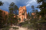 America;American-Southwest;badland;badlands;Bryce-Amphitheater;Bryce-Amphitheatre;Bryce-Canyon;Bryce-Canyon-N.P.;Bryce-Canyon-National-Park;Bryce-Canyon-NP;clay;column;columns;earth-pyramid;earth-pyramids;eroded;erosion;fairy-chimney;fairy-chimneys;formation;formations;geological;geology;hiker;hikers;hiking-path;hiking-paths;hiking-track;hiking-tracks;hiking-trail;hiking-trails;hoodoo;hoodoos;layer;layers;national-park;national-parks;natural-geological-formation;natural-geological-formations;natural-tower;natural-towers;North-America;path;paths;pathway;pathways;Paunsaugunt-Plateau;people;person;pillar;pillars;pinnacle;pinnacles;Queens-Garden-Path;Queens-Garden-Trackl;Queens-Garden-Trail;Queens-Garden-walk;Queens-Garden-Path;Queens-Garden-Track;Queens-Garden-Trail;Queens-Garden-walk;rock;rock-chimney;rock-chimneys;rock-column;rock-columns;rock-formation;rock-formations;rock-pillar;rock-pillars;rock-pinnacle;rock-pinnacles;rock-spire;rock-spires;rock-tower;rock-towers;rocks;route;routes;Sandstone;South-west-United-States;South-west-US;South-west-USA;South-western-United-States;South-western-US;South-western-USA;Southwest-United-States;Southwest-US;Southwest-USA;Southwestern-United-States;Southwestern-US;Southwestern-USA;States;stone;tent-rock;tent-rocks;the-Southwest;tourism;tourist;tourists;track;tracks;trail;trails;tramping-track;tramping-tracks;tramping-trail;tramping-trails;U.S.A;United-States;United-States-of-America;unusual-natural-feature;unusual-natural-features;unusual-natural-formation;unusual-natural-formations;USA;UT;Utah;walker;walkers;walking-path;walking-paths;walking-track;walking-tracks;walking-trail;walking-trails;walkway;walkways;weathered;weathering;wilderness;wilderness-area;wilderness-areas