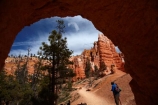 America;American-Southwest;badland;badlands;Bryce-Amphitheater;Bryce-Amphitheatre;Bryce-Canyon;Bryce-Canyon-N.P.;Bryce-Canyon-National-Park;Bryce-Canyon-NP;clay;column;columns;earth-pyramid;earth-pyramids;eroded;erosion;fairy-chimney;fairy-chimneys;formation;formations;geological;geology;hiker;hikers;hiking-path;hiking-paths;hiking-track;hiking-tracks;hiking-trail;hiking-trails;hoodoo;hoodoos;layer;layers;national-park;national-parks;natural-geological-formation;natural-geological-formations;natural-tower;natural-towers;North-America;path;paths;pathway;pathways;Paunsaugunt-Plateau;people;person;pillar;pillars;pinnacle;pinnacles;Queens-Garden-Path;Queens-Garden-Trackl;Queens-Garden-Trail;Queens-Garden-walk;Queens-Garden-Path;Queens-Garden-Track;Queens-Garden-Trail;Queens-Garden-walk;rock;rock-chimney;rock-chimneys;rock-column;rock-columns;rock-formation;rock-formations;rock-pillar;rock-pillars;rock-pinnacle;rock-pinnacles;rock-spire;rock-spires;rock-tower;rock-towers;rocks;route;routes;Sandstone;South-west-United-States;South-west-US;South-west-USA;South-western-United-States;South-western-US;South-western-USA;Southwest-United-States;Southwest-US;Southwest-USA;Southwestern-United-States;Southwestern-US;Southwestern-USA;States;stone;tent-rock;tent-rocks;the-Southwest;tourism;tourist;tourists;track;tracks;trail;trails;tramping-track;tramping-tracks;tramping-trail;tramping-trails;tunnel;tunnels;U.S.A;United-States;United-States-of-America;unusual-natural-feature;unusual-natural-features;unusual-natural-formation;unusual-natural-formations;USA;UT;Utah;walker;walkers;walking-path;walking-paths;walking-track;walking-tracks;walking-trail;walking-trails;walkway;walkways;weathered;weathering;wilderness;wilderness-area;wilderness-areas