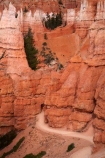 America;American-Southwest;badland;badlands;Bryce-Amphitheater;Bryce-Amphitheatre;Bryce-Canyon;Bryce-Canyon-N.P.;Bryce-Canyon-National-Park;Bryce-Canyon-NP;clay;column;columns;earth-pyramid;earth-pyramids;eroded;erosion;fairy-chimney;fairy-chimneys;formation;formations;geological;geology;hiking-path;hiking-paths;hiking-track;hiking-tracks;hiking-trail;hiking-trails;hoodoo;hoodoos;layer;layers;national-park;national-parks;natural-geological-formation;natural-geological-formations;natural-tower;natural-towers;North-America;path;paths;pathway;pathways;Paunsaugunt-Plateau;pillar;pillars;pinnacle;pinnacles;Queens-Garden-Path;Queens-Garden-Trackl;Queens-Garden-Trail;Queens-Garden-walk;Queens-Garden-Path;Queens-Garden-Track;Queens-Garden-Trail;Queens-Garden-walk;rock;rock-chimney;rock-chimneys;rock-column;rock-columns;rock-formation;rock-formations;rock-pillar;rock-pillars;rock-pinnacle;rock-pinnacles;rock-spire;rock-spires;rock-tower;rock-towers;rocks;route;routes;Sandstone;South-west-United-States;South-west-US;South-west-USA;South-western-United-States;South-western-US;South-western-USA;Southwest-United-States;Southwest-US;Southwest-USA;Southwestern-United-States;Southwestern-US;Southwestern-USA;States;stone;tent-rock;tent-rocks;the-Southwest;track;tracks;trail;trails;tramping-track;tramping-tracks;tramping-trail;tramping-trails;tunnel;tunnels;U.S.A;United-States;United-States-of-America;unusual-natural-feature;unusual-natural-features;unusual-natural-formation;unusual-natural-formations;USA;UT;Utah;walking-path;walking-paths;walking-track;walking-tracks;walking-trail;walking-trails;walkway;walkways;weathered;weathering;wilderness;wilderness-area;wilderness-areas