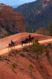 America;American-Southwest;Bryce-Amphitheater;Bryce-Amphitheatre;Bryce-Canyon;Bryce-Canyon-N.P.;Bryce-Canyon-National-Park;Bryce-Canyon-NP;Bryce-Canyon-Rides;Bryce-National-Park-Horseback-Tours;Canyon-Trail-Rides;cowboy;cowboys;equestrian;hiking-path;hiking-paths;hiking-track;hiking-tracks;hiking-trail;hiking-trails;horse;horse-rider;horse-riders;horse-riding;horse-tour;horse-tours;horse-trail;horse-trails;horse-trek;horse-trekker;horse-trekkers;horse-trekking;horse-treks;horseback-tours;horses;national-park;national-parks;path;paths;pathway;pathways;Paunsaugunt-Plateau;people;person;Queens-Garden-Path;Queens-Garden-Trackl;Queens-Garden-Trail;Queens-Garden-walk;Queens-Garden-Path;Queens-Garden-Track;Queens-Garden-Trail;Queens-Garden-walk;route;routes;South-west-United-States;South-west-US;South-west-USA;South-western-United-States;South-western-US;South-western-USA;Southwest-United-States;Southwest-US;Southwest-USA;Southwestern-United-States;Southwestern-US;Southwestern-USA;States;the-Southwest;track;tracks;trail;trails;tramping-track;tramping-tracks;tramping-trail;tramping-trails;U.S.A;United-States;United-States-of-America;USA;UT;Utah;walking-path;walking-paths;walking-track;walking-tracks;walking-trail;walking-trails;walkway;walkways