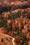 America;American-Southwest;badland;badlands;Bryce-Amphitheater;Bryce-Amphitheatre;Bryce-Canyon;Bryce-Canyon-N.P.;Bryce-Canyon-National-Park;Bryce-Canyon-NP;clay;column;columns;earth-pyramid;earth-pyramids;eroded;erosion;fairy-chimney;fairy-chimneys;formation;formations;geological;geology;hiker;hikers;hiking-path;hiking-paths;hiking-track;hiking-tracks;hiking-trail;hiking-trails;hoodoo;hoodoos;layer;layers;lookout;lookouts;national-park;national-parks;natural-geological-formation;natural-geological-formations;natural-tower;natural-towers;North-America;overlook;path;paths;pathway;pathways;Paunsaugunt-Plateau;people;person;pillar;pillars;pinnacle;pinnacles;Queens-Garden-Path;Queens-Garden-Trackl;Queens-Garden-Trail;Queens-Garden-walk;Queens-Garden-Path;Queens-Garden-Track;Queens-Garden-Trail;Queens-Garden-walk;rock;rock-chimney;rock-chimneys;rock-column;rock-columns;rock-formation;rock-formations;rock-pillar;rock-pillars;rock-pinnacle;rock-pinnacles;rock-spire;rock-spires;rock-tower;rock-towers;rocks;route;routes;Sandstone;South-west-United-States;South-west-US;South-west-USA;South-western-United-States;South-western-US;South-western-USA;Southwest-United-States;Southwest-US;Southwest-USA;Southwestern-United-States;Southwestern-US;Southwestern-USA;States;stone;tent-rock;tent-rocks;the-Southwest;tourism;tourist;tourists;track;tracks;trail;trails;tramping-track;tramping-tracks;tramping-trail;tramping-trails;U.S.A;United-States;United-States-of-America;unusual-natural-feature;unusual-natural-features;unusual-natural-formation;unusual-natural-formations;USA;UT;Utah;view;viewpoint;viewpoints;views;walker;walkers;walking-path;walking-paths;walking-track;walking-tracks;walking-trail;walking-trails;walkway;walkways;weathered;weathering;wilderness;wilderness-area;wilderness-areas