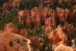 America;American-Southwest;badland;badlands;Bryce-Amphitheater;Bryce-Amphitheatre;Bryce-Canyon;Bryce-Canyon-N.P.;Bryce-Canyon-National-Park;Bryce-Canyon-NP;clay;column;columns;earth-pyramid;earth-pyramids;eroded;erosion;fairy-chimney;fairy-chimneys;formation;formations;geological;geology;hiker;hikers;hiking-path;hiking-paths;hiking-track;hiking-tracks;hiking-trail;hiking-trails;hoodoo;hoodoos;layer;layers;lookout;lookouts;national-park;national-parks;natural-geological-formation;natural-geological-formations;natural-tower;natural-towers;North-America;overlook;path;paths;pathway;pathways;Paunsaugunt-Plateau;people;person;pillar;pillars;pinnacle;pinnacles;Queens-Garden-Path;Queens-Garden-Trackl;Queens-Garden-Trail;Queens-Garden-walk;Queens-Garden-Path;Queens-Garden-Track;Queens-Garden-Trail;Queens-Garden-walk;rock;rock-chimney;rock-chimneys;rock-column;rock-columns;rock-formation;rock-formations;rock-pillar;rock-pillars;rock-pinnacle;rock-pinnacles;rock-spire;rock-spires;rock-tower;rock-towers;rocks;route;routes;Sandstone;South-west-United-States;South-west-US;South-west-USA;South-western-United-States;South-western-US;South-western-USA;Southwest-United-States;Southwest-US;Southwest-USA;Southwestern-United-States;Southwestern-US;Southwestern-USA;States;stone;tent-rock;tent-rocks;the-Southwest;tourism;tourist;tourists;track;tracks;trail;trails;tramping-track;tramping-tracks;tramping-trail;tramping-trails;U.S.A;United-States;United-States-of-America;unusual-natural-feature;unusual-natural-features;unusual-natural-formation;unusual-natural-formations;USA;UT;Utah;view;viewpoint;viewpoints;views;walker;walkers;walking-path;walking-paths;walking-track;walking-tracks;walking-trail;walking-trails;walkway;walkways;weathered;weathering;wilderness;wilderness-area;wilderness-areas