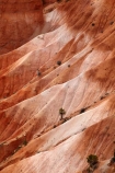America;American-Southwest;badland;badlands;Bryce-Amphitheater;Bryce-Amphitheatre;Bryce-Canyon;Bryce-Canyon-N.P.;Bryce-Canyon-National-Park;Bryce-Canyon-NP;clay;eroded;eroded-gullies;eroded-gully;erosion;formation;formations;geology;layer;layers;national-park;national-parks;North-America;Paunsaugunt-Plateau;South-west-United-States;South-west-US;South-west-USA;South-western-United-States;South-western-US;South-western-USA;Southwest-United-States;Southwest-US;Southwest-USA;Southwestern-United-States;Southwestern-US;Southwestern-USA;States;the-Southwest;U.S.A;United-States;United-States-of-America;USA;UT;Utah;weathered;weathering