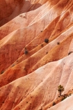America;American-Southwest;badland;badlands;Bryce-Amphitheater;Bryce-Amphitheatre;Bryce-Canyon;Bryce-Canyon-N.P.;Bryce-Canyon-National-Park;Bryce-Canyon-NP;clay;eroded;eroded-gullies;eroded-gully;erosion;formation;formations;geology;layer;layers;national-park;national-parks;North-America;Paunsaugunt-Plateau;South-west-United-States;South-west-US;South-west-USA;South-western-United-States;South-western-US;South-western-USA;Southwest-United-States;Southwest-US;Southwest-USA;Southwestern-United-States;Southwestern-US;Southwestern-USA;States;the-Southwest;U.S.A;United-States;United-States-of-America;USA;UT;Utah;weathered;weathering