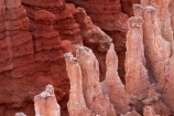 America;American-Southwest;badland;badlands;Bryce-Amphitheater;Bryce-Amphitheatre;Bryce-Canyon;Bryce-Canyon-N.P.;Bryce-Canyon-National-Park;Bryce-Canyon-NP;clay;column;columns;earth-pyramid;earth-pyramids;eroded;erosion;fairy-chimney;fairy-chimneys;formation;formations;geological;geology;hoodoo;hoodoos;layer;layers;lookout;lookouts;national-park;national-parks;natural-geological-formation;natural-geological-formations;natural-tower;natural-towers;North-America;overlook;Paunsaugunt-Plateau;pillar;pillars;pinnacle;pinnacles;rock;rock-chimney;rock-chimneys;rock-column;rock-columns;rock-formation;rock-formations;rock-pillar;rock-pillars;rock-pinnacle;rock-pinnacles;rock-spire;rock-spires;rock-tower;rock-towers;rocks;Sandstone;South-west-United-States;South-west-US;South-west-USA;South-western-United-States;South-western-US;South-western-USA;Southwest-United-States;Southwest-US;Southwest-USA;Southwestern-United-States;Southwestern-US;Southwestern-USA;States;stone;tent-rock;tent-rocks;the-Southwest;U.S.A;United-States;United-States-of-America;unusual-natural-feature;unusual-natural-features;unusual-natural-formation;unusual-natural-formations;USA;UT;Utah;view;viewpoint;viewpoints;views;weathered;weathering;wilderness;wilderness-area;wilderness-areas