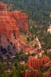 America;American-Southwest;badland;badlands;Bryce-Amphitheater;Bryce-Amphitheatre;Bryce-Canyon;Bryce-Canyon-N.P.;Bryce-Canyon-National-Park;Bryce-Canyon-NP;clay;column;columns;earth-pyramid;earth-pyramids;eroded;erosion;fairy-chimney;fairy-chimneys;formation;formations;geological;geology;hiking-path;hiking-paths;hiking-track;hiking-tracks;hiking-trail;hiking-trails;hoodoo;hoodoos;layer;layers;lookout;lookouts;national-park;national-parks;natural-geological-formation;natural-geological-formations;natural-tower;natural-towers;North-America;overlook;path;paths;pathway;pathways;Paunsaugunt-Plateau;pillar;pillars;pinnacle;pinnacles;Queens-Garden-Path;Queens-Garden-Trackl;Queens-Garden-Trail;Queens-Garden-walk;Queens-Garden-Path;Queens-Garden-Track;Queens-Garden-Trail;Queens-Garden-walk;rock;rock-chimney;rock-chimneys;rock-column;rock-columns;rock-formation;rock-formations;rock-pillar;rock-pillars;rock-pinnacle;rock-pinnacles;rock-spire;rock-spires;rock-tower;rock-towers;rocks;route;routes;Sandstone;South-west-United-States;South-west-US;South-west-USA;South-western-United-States;South-western-US;South-western-USA;Southwest-United-States;Southwest-US;Southwest-USA;Southwestern-United-States;Southwestern-US;Southwestern-USA;States;stone;tent-rock;tent-rocks;the-Southwest;track;tracks;trail;trails;tramping-track;tramping-tracks;tramping-trail;tramping-trails;U.S.A;United-States;United-States-of-America;unusual-natural-feature;unusual-natural-features;unusual-natural-formation;unusual-natural-formations;USA;UT;Utah;view;viewpoint;viewpoints;views;walking-path;walking-paths;walking-track;walking-tracks;walking-trail;walking-trails;walkway;walkways;weathered;weathering;wilderness;wilderness-area;wilderness-areas