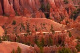 America;American-Southwest;badland;badlands;Bryce-Amphitheater;Bryce-Amphitheatre;Bryce-Canyon;Bryce-Canyon-N.P.;Bryce-Canyon-National-Park;Bryce-Canyon-NP;clay;column;columns;earth-pyramid;earth-pyramids;eroded;erosion;fairy-chimney;fairy-chimneys;formation;formations;geological;geology;hiking-path;hiking-paths;hiking-track;hiking-tracks;hiking-trail;hiking-trails;hoodoo;hoodoos;layer;layers;lookout;lookouts;national-park;national-parks;natural-geological-formation;natural-geological-formations;natural-tower;natural-towers;North-America;overlook;path;paths;pathway;pathways;Paunsaugunt-Plateau;pillar;pillars;pinnacle;pinnacles;Queens-Garden-Path;Queens-Garden-Trackl;Queens-Garden-Trail;Queens-Garden-walk;Queens-Garden-Path;Queens-Garden-Track;Queens-Garden-Trail;Queens-Garden-walk;rock;rock-chimney;rock-chimneys;rock-column;rock-columns;rock-formation;rock-formations;rock-pillar;rock-pillars;rock-pinnacle;rock-pinnacles;rock-spire;rock-spires;rock-tower;rock-towers;rocks;route;routes;Sandstone;South-west-United-States;South-west-US;South-west-USA;South-western-United-States;South-western-US;South-western-USA;Southwest-United-States;Southwest-US;Southwest-USA;Southwestern-United-States;Southwestern-US;Southwestern-USA;States;stone;tent-rock;tent-rocks;the-Southwest;track;tracks;trail;trails;tramping-track;tramping-tracks;tramping-trail;tramping-trails;U.S.A;United-States;United-States-of-America;unusual-natural-feature;unusual-natural-features;unusual-natural-formation;unusual-natural-formations;USA;UT;Utah;view;viewpoint;viewpoints;views;walking-path;walking-paths;walking-track;walking-tracks;walking-trail;walking-trails;walkway;walkways;weathered;weathering;wilderness;wilderness-area;wilderness-areas
