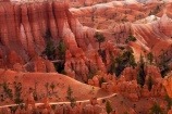 America;American-Southwest;badland;badlands;Bryce-Amphitheater;Bryce-Amphitheatre;Bryce-Canyon;Bryce-Canyon-N.P.;Bryce-Canyon-National-Park;Bryce-Canyon-NP;clay;column;columns;earth-pyramid;earth-pyramids;eroded;erosion;fairy-chimney;fairy-chimneys;formation;formations;geological;geology;hiking-path;hiking-paths;hiking-track;hiking-tracks;hiking-trail;hiking-trails;hoodoo;hoodoos;layer;layers;lookout;lookouts;national-park;national-parks;natural-geological-formation;natural-geological-formations;natural-tower;natural-towers;North-America;overlook;path;paths;pathway;pathways;Paunsaugunt-Plateau;pillar;pillars;pinnacle;pinnacles;Queens-Garden-Path;Queens-Garden-Trackl;Queens-Garden-Trail;Queens-Garden-walk;Queens-Garden-Path;Queens-Garden-Track;Queens-Garden-Trail;Queens-Garden-walk;rock;rock-chimney;rock-chimneys;rock-column;rock-columns;rock-formation;rock-formations;rock-pillar;rock-pillars;rock-pinnacle;rock-pinnacles;rock-spire;rock-spires;rock-tower;rock-towers;rocks;route;routes;Sandstone;South-west-United-States;South-west-US;South-west-USA;South-western-United-States;South-western-US;South-western-USA;Southwest-United-States;Southwest-US;Southwest-USA;Southwestern-United-States;Southwestern-US;Southwestern-USA;States;stone;tent-rock;tent-rocks;the-Southwest;track;tracks;trail;trails;tramping-track;tramping-tracks;tramping-trail;tramping-trails;U.S.A;United-States;United-States-of-America;unusual-natural-feature;unusual-natural-features;unusual-natural-formation;unusual-natural-formations;USA;UT;Utah;view;viewpoint;viewpoints;views;walking-path;walking-paths;walking-track;walking-tracks;walking-trail;walking-trails;walkway;walkways;weathered;weathering;wilderness;wilderness-area;wilderness-areas