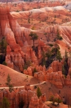 America;American-Southwest;badland;badlands;Bryce-Amphitheater;Bryce-Amphitheatre;Bryce-Canyon;Bryce-Canyon-N.P.;Bryce-Canyon-National-Park;Bryce-Canyon-NP;clay;column;columns;earth-pyramid;earth-pyramids;eroded;erosion;fairy-chimney;fairy-chimneys;formation;formations;geological;geology;hiker;hikers;hiking-path;hiking-paths;hiking-track;hiking-tracks;hiking-trail;hiking-trails;hoodoo;hoodoos;layer;layers;lookout;lookouts;national-park;national-parks;natural-geological-formation;natural-geological-formations;natural-tower;natural-towers;North-America;overlook;path;paths;pathway;pathways;Paunsaugunt-Plateau;people;person;pillar;pillars;pinnacle;pinnacles;Queens-Garden-Path;Queens-Garden-Trackl;Queens-Garden-Trail;Queens-Garden-walk;Queens-Garden-Path;Queens-Garden-Track;Queens-Garden-Trail;Queens-Garden-walk;rock;rock-chimney;rock-chimneys;rock-column;rock-columns;rock-formation;rock-formations;rock-pillar;rock-pillars;rock-pinnacle;rock-pinnacles;rock-spire;rock-spires;rock-tower;rock-towers;rocks;route;routes;Sandstone;South-west-United-States;South-west-US;South-west-USA;South-western-United-States;South-western-US;South-western-USA;Southwest-United-States;Southwest-US;Southwest-USA;Southwestern-United-States;Southwestern-US;Southwestern-USA;States;stone;tent-rock;tent-rocks;the-Southwest;tourism;tourist;tourists;track;tracks;trail;trails;tramping-track;tramping-tracks;tramping-trail;tramping-trails;U.S.A;United-States;United-States-of-America;unusual-natural-feature;unusual-natural-features;unusual-natural-formation;unusual-natural-formations;USA;UT;Utah;view;viewpoint;viewpoints;views;walker;walkers;walking-path;walking-paths;walking-track;walking-tracks;walking-trail;walking-trails;walkway;walkways;weathered;weathering;wilderness;wilderness-area;wilderness-areas