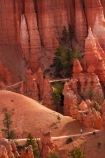 America;American-Southwest;badland;badlands;Bryce-Amphitheater;Bryce-Amphitheatre;Bryce-Canyon;Bryce-Canyon-N.P.;Bryce-Canyon-National-Park;Bryce-Canyon-NP;clay;column;columns;earth-pyramid;earth-pyramids;eroded;erosion;fairy-chimney;fairy-chimneys;formation;formations;geological;geology;hiker;hikers;hiking-path;hiking-paths;hiking-track;hiking-tracks;hiking-trail;hiking-trails;hoodoo;hoodoos;layer;layers;lookout;lookouts;national-park;national-parks;natural-geological-formation;natural-geological-formations;natural-tower;natural-towers;North-America;overlook;path;paths;pathway;pathways;Paunsaugunt-Plateau;people;person;pillar;pillars;pinnacle;pinnacles;Queens-Garden-Path;Queens-Garden-Trackl;Queens-Garden-Trail;Queens-Garden-walk;Queens-Garden-Path;Queens-Garden-Track;Queens-Garden-Trail;Queens-Garden-walk;rock;rock-chimney;rock-chimneys;rock-column;rock-columns;rock-formation;rock-formations;rock-pillar;rock-pillars;rock-pinnacle;rock-pinnacles;rock-spire;rock-spires;rock-tower;rock-towers;rocks;route;routes;Sandstone;South-west-United-States;South-west-US;South-west-USA;South-western-United-States;South-western-US;South-western-USA;Southwest-United-States;Southwest-US;Southwest-USA;Southwestern-United-States;Southwestern-US;Southwestern-USA;States;stone;tent-rock;tent-rocks;the-Southwest;tourism;tourist;tourists;track;tracks;trail;trails;tramping-track;tramping-tracks;tramping-trail;tramping-trails;U.S.A;United-States;United-States-of-America;unusual-natural-feature;unusual-natural-features;unusual-natural-formation;unusual-natural-formations;USA;UT;Utah;view;viewpoint;viewpoints;views;walker;walkers;walking-path;walking-paths;walking-track;walking-tracks;walking-trail;walking-trails;walkway;walkways;weathered;weathering;wilderness;wilderness-area;wilderness-areas