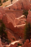 America;American-Southwest;badland;badlands;Bryce-Amphitheater;Bryce-Amphitheatre;Bryce-Canyon;Bryce-Canyon-N.P.;Bryce-Canyon-National-Park;Bryce-Canyon-NP;clay;column;columns;earth-pyramid;earth-pyramids;eroded;erosion;fairy-chimney;fairy-chimneys;formation;formations;geological;geology;hiker;hikers;hiking-path;hiking-paths;hiking-track;hiking-tracks;hiking-trail;hiking-trails;hoodoo;hoodoos;layer;layers;lookout;lookouts;national-park;national-parks;natural-geological-formation;natural-geological-formations;natural-tower;natural-towers;North-America;overlook;path;paths;pathway;pathways;Paunsaugunt-Plateau;people;person;pillar;pillars;pinnacle;pinnacles;Queens-Garden-Path;Queens-Garden-Trackl;Queens-Garden-Trail;Queens-Garden-walk;Queens-Garden-Path;Queens-Garden-Track;Queens-Garden-Trail;Queens-Garden-walk;rock;rock-chimney;rock-chimneys;rock-column;rock-columns;rock-formation;rock-formations;rock-pillar;rock-pillars;rock-pinnacle;rock-pinnacles;rock-spire;rock-spires;rock-tower;rock-towers;rocks;route;routes;Sandstone;South-west-United-States;South-west-US;South-west-USA;South-western-United-States;South-western-US;South-western-USA;Southwest-United-States;Southwest-US;Southwest-USA;Southwestern-United-States;Southwestern-US;Southwestern-USA;States;stone;tent-rock;tent-rocks;the-Southwest;tourism;tourist;tourists;track;tracks;trail;trails;tramping-track;tramping-tracks;tramping-trail;tramping-trails;tunnel;tunnels;U.S.A;United-States;United-States-of-America;unusual-natural-feature;unusual-natural-features;unusual-natural-formation;unusual-natural-formations;USA;UT;Utah;view;viewpoint;viewpoints;views;walker;walkers;walking-path;walking-paths;walking-track;walking-tracks;walking-trail;walking-trails;walkway;walkways;weathered;weathering;wilderness;wilderness-area;wilderness-areas
