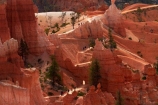 America;American-Southwest;badland;badlands;Bryce-Amphitheater;Bryce-Amphitheatre;Bryce-Canyon;Bryce-Canyon-N.P.;Bryce-Canyon-National-Park;Bryce-Canyon-NP;clay;column;columns;earth-pyramid;earth-pyramids;eroded;erosion;fairy-chimney;fairy-chimneys;formation;formations;geological;geology;hiker;hikers;hiking-path;hiking-paths;hiking-track;hiking-tracks;hiking-trail;hiking-trails;hoodoo;hoodoos;layer;layers;lookout;lookouts;national-park;national-parks;natural-geological-formation;natural-geological-formations;natural-tower;natural-towers;North-America;overlook;path;paths;pathway;pathways;Paunsaugunt-Plateau;people;person;pillar;pillars;pinnacle;pinnacles;Queens-Garden-Path;Queens-Garden-Trackl;Queens-Garden-Trail;Queens-Garden-walk;Queens-Garden-Path;Queens-Garden-Track;Queens-Garden-Trail;Queens-Garden-walk;rock;rock-chimney;rock-chimneys;rock-column;rock-columns;rock-formation;rock-formations;rock-pillar;rock-pillars;rock-pinnacle;rock-pinnacles;rock-spire;rock-spires;rock-tower;rock-towers;rocks;route;routes;Sandstone;South-west-United-States;South-west-US;South-west-USA;South-western-United-States;South-western-US;South-western-USA;Southwest-United-States;Southwest-US;Southwest-USA;Southwestern-United-States;Southwestern-US;Southwestern-USA;States;stone;tent-rock;tent-rocks;the-Southwest;tourism;tourist;tourists;track;tracks;trail;trails;tramping-track;tramping-tracks;tramping-trail;tramping-trails;tunnel;tunnels;U.S.A;United-States;United-States-of-America;unusual-natural-feature;unusual-natural-features;unusual-natural-formation;unusual-natural-formations;USA;UT;Utah;view;viewpoint;viewpoints;views;walker;walkers;walking-path;walking-paths;walking-track;walking-tracks;walking-trail;walking-trails;walkway;walkways;weathered;weathering;wilderness;wilderness-area;wilderness-areas