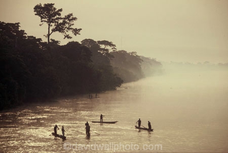 democratic-republic-of-congo;rivers;canoe;canoes;dugout;boat;boats;mist;misty;fog;foggy;jungle;rainforest