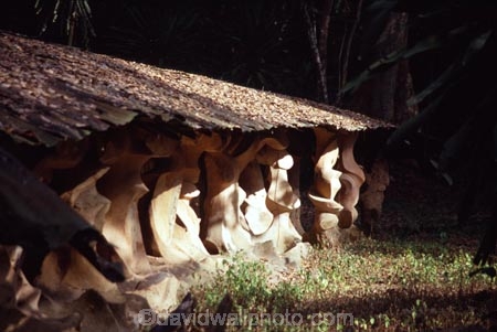 Shrine;Sacred-Forest;Oshogbo;Nigeria;West-Africa;african;nigerian;spirit;spiritual;animist;religion;religious;faith;otherworldly;negro-spiritual;occult;god;gods;worship;yoruba;suzanne-wenger;wenger