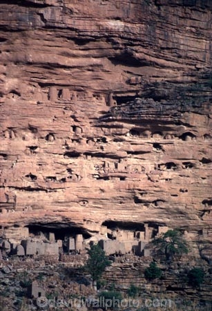 dogon;dogons;cliff;cliffs;bluff;bluffs;dweller;dwellers;tomb;tombs;grave;graves;sahel;escarpments;tradition;traditional;traditions;culture;cultures;cultural;people;peoples;thatch;thatched;roof;rooves;mud-hut;granery;graneries;granery;granaries;straw-roof;grass-rooves;tribal;tribe;african;villages;tellem;mali-;malian;africa;african;sahel;bandiagara;escarpment;irelli;ireli;west-africa;architecture;architectural