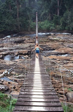 cameroon;camerouns;cameroons;cameroun;bridge;bridges;swing-bridge;rope-bridge;wire-bridge;planks-;cross;river;rivers;long;suspension-bridge;jungle-;rainforest;rain-forest;korup-national-park