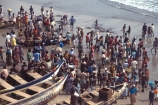 africa;african;africans;ethnic;people;person;persons;tradition;traditional;culture;cultural;cultures;indigenous;native;stall;stalls;market;markets;commerce;crowd-;busy;shopping;buying;market-day;weekly-market;fish;fishing;fishermen;fisher;fishers;fisherman;fish-market;beach;beaches;coast;fresh;sea;ocean-atlantic;ghana;ghanain;african;west-africa;africa;cape-coast