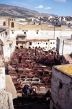 dye-pit;dye-pits;dye;pit;pits;fez;fes;morocco;maroc;moroccan;africa;african;north-africa;smell;smelly;stench;stink;stinky;stinks;smells;leather;leathers;skin;tan;tannery;tanneries;tanery;taneries;skins;hyde;hydes;hide;hides;dyes;colour;colouring;color;coloring;tradition;traditional;culture;cultural;trade;suede;medina;medinas