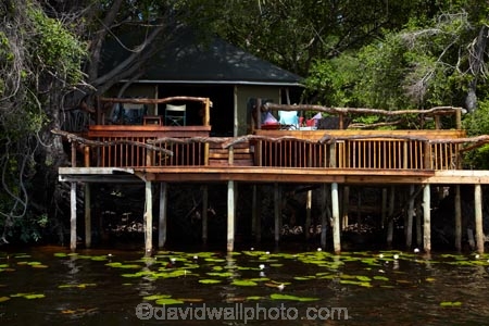 Africa;aquatic-plant;aquatic-plants;Botswana;delta;deltas;Endorheic-basin;Guma-Lagoon;Guma-Lagoon-Camp;Guma-Lagoon-Lodge;inland-delta;internal-drainage-systems;lily-pad;lily-pads;Nymphaeaceae;Okavango;Okavango-Delta;Okavango-Swamp;plant;plants;river-delta;Seven-Natural-Wonders-of-Africa;Southern-Africa;water-lilies;water-lily;water-lily-pad;water-lily-pads;water_lilies;water_lily;waterlilies;waterlily;waterlily-pad;waterlily-pads