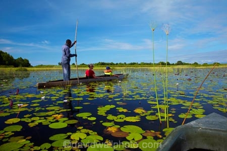 Africa;African;aquatic-plant;aquatic-plants;boat;boats;Botswana;boy;boys;canoe;canoes;delta;deltas;dugout;dugout-canoe;dugout-canoes;dugouts;Endorheic-basin;female;inland-delta;internal-drainage-systems;lily-pad;lily-pads;logboat;makoro;makoros;mekoro;mekoros;mokoro;mokoro-safari;mokoros;monoxylon;Nymphaeaceae;Okavango;Okavango-Delta;Okavango-Swamp;people;person;pirogue;pirogues;plant;plants;poler;polers;river-delta;Seven-Natural-Wonders-of-Africa;Southern-Africa;tourism;tourist;tourists;water-lilies;water-lily;water-lily-pad;water-lily-pads;water_lilies;water_lily;waterlilies;waterlily;waterlily-pad;waterlily-pads;woman;women