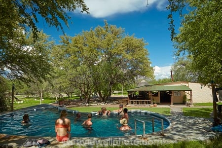 Africa;African;Botswana;Ghanzi;people;person;pool;pools;Southern-Africa;swim;swimmer;swimmers;swimming-pool;swimming-pools;Thakadu;Thakadu-Bush-Camp;tourist;tourists;traveller;travellers