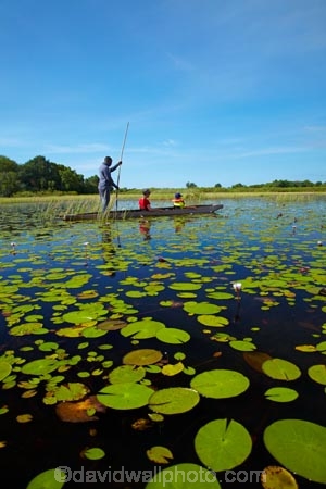 Africa;African;aquatic-plant;aquatic-plants;boat;boats;Botswana;boy;boys;canoe;canoes;delta;deltas;dugout;dugout-canoe;dugout-canoes;dugouts;Endorheic-basin;female;inland-delta;internal-drainage-systems;lily-pad;lily-pads;logboat;makoro;makoros;mekoro;mekoros;mokoro;mokoro-safari;mokoros;monoxylon;Nymphaeaceae;Okavango;Okavango-Delta;Okavango-Swamp;people;person;pirogue;pirogues;plant;plants;poler;polers;river-delta;Seven-Natural-Wonders-of-Africa;Southern-Africa;tourism;tourist;tourists;water-lilies;water-lily;water-lily-pad;water-lily-pads;water_lilies;water_lily;waterlilies;waterlily;waterlily-pad;waterlily-pads;woman;women