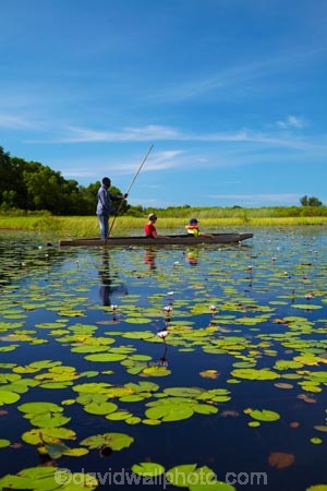 Africa;African;aquatic-plant;aquatic-plants;boat;boats;Botswana;boy;boys;canoe;canoes;delta;deltas;dugout;dugout-canoe;dugout-canoes;dugouts;Endorheic-basin;female;inland-delta;internal-drainage-systems;lily-pad;lily-pads;logboat;makoro;makoros;mekoro;mekoros;mokoro;mokoro-safari;mokoros;monoxylon;Nymphaeaceae;Okavango;Okavango-Delta;Okavango-Swamp;people;person;pirogue;pirogues;plant;plants;poler;polers;river-delta;Seven-Natural-Wonders-of-Africa;Southern-Africa;tourism;tourist;tourists;water-lilies;water-lily;water-lily-pad;water-lily-pads;water_lilies;water_lily;waterlilies;waterlily;waterlily-pad;waterlily-pads;woman;women