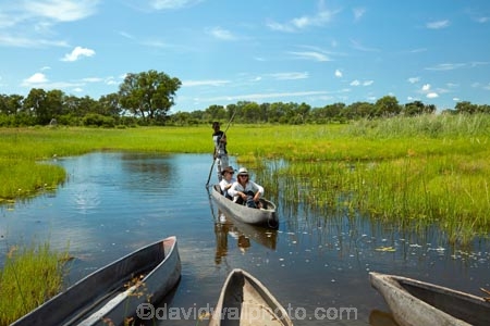 Africa;African;boat;boats;Botswana;canoe;canoes;delta;deltas;dugout;dugout-canoe;dugout-canoes;dugouts;Endorheic-basin;inland-delta;internal-drainage-systems;logboat;makoro;makoros;mekoro;mekoros;mokoro;mokoro-safari;mokoros;Okavango;Okavango-Delta;Okavango-Swamp;people;person;pirogue;pirogues;poler;polers;river-delta;safari;safaris;Seven-Natural-Wonders-of-Africa;Southern-Africa;tourism;tourist;tourists