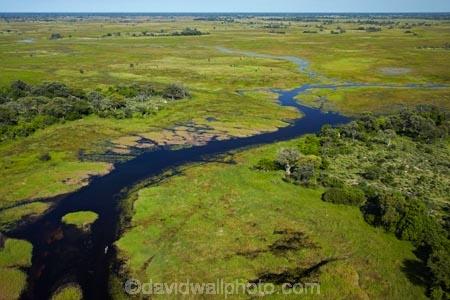 aerial;aerial-image;aerial-images;aerial-photo;aerial-photograph;aerial-photographs;aerial-photography;aerial-photos;aerial-view;aerial-views;aerials;Africa;boat;boats;Boro-River;Botswana;canoe;canoes;chanel;chanels;delta;deltas;dugout;dugout-canoe;dugout-canoes;dugouts;Endorheic-basin;flood-plain;flood-plains;flood_plain;flood_plains;floodplain;floodplains;inland-delta;internal-drainage-systems;logboat;makoro;makoros;mekoro;mekoros;mokoro;mokoros;monoxylon;Okavango;Okavango-Delta;Okavango-Swamp;pirogue;pirogues;plain;plains;river;river-delta;rivers;Seven-Natural-Wonders-of-Africa;Southern-Africa;stream;streams;swamp;swampland;swamps;water;channel;channels;