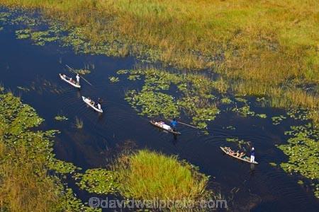 aerial;aerial-image;aerial-images;aerial-photo;aerial-photograph;aerial-photographs;aerial-photography;aerial-photos;aerial-view;aerial-views;aerials;Africa;boat;boats;Botswana;canoe;canoes;chanel;chanels;delta;deltas;dugout;dugout-canoe;dugout-canoes;dugouts;Endorheic-basin;flood-plain;flood-plains;flood_plain;flood_plains;floodplain;floodplains;inland-delta;internal-drainage-systems;logboat;makoro;makoro-safari;makoros;mekoro;mekoro-safari;mekoros;mokoro;mokoro-safari;mokoros;monoxylon;Okavango;Okavango-Delta;Okavango-Swamp;people;person;pirogue;pirogues;plain;plains;river;river-delta;rivers;Seven-Natural-Wonders-of-Africa;Southern-Africa;stream;streams;swamp;swampland;swamps;tourism;tourist;tourists;water;channel;channels;