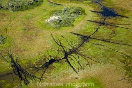 aerial;aerial-image;aerial-images;aerial-photo;aerial-photograph;aerial-photographs;aerial-photography;aerial-photos;aerial-view;aerial-views;aerials;Africa;animal-track;animal-tracks;animal-trail;animal-trails;Botswana;chanel;chanels;delta;deltas;Endorheic-basin;flood-plain;flood-plains;flood_plain;flood_plains;floodplain;floodplains;inland-delta;internal-drainage-systems;Okavango;Okavango-Delta;Okavango-Swamp;path;paths;pathways;plain;plains;river;river-delta;rivers;Seven-Natural-Wonders-of-Africa;Southern-Africa;stream;streams;swamp;swampland;swamps;track;tracks;trail;trails;water;wildlife-tracks;wildlife-trails;channel;channels;
