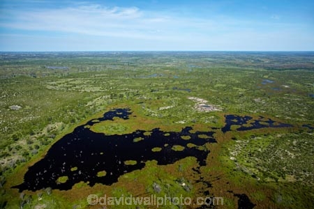 aerial;aerial-image;aerial-images;aerial-photo;aerial-photograph;aerial-photographs;aerial-photography;aerial-photos;aerial-view;aerial-views;aerials;Africa;Botswana;delta;deltas;Endorheic-basin;flood-plain;flood-plains;flood_plain;flood_plains;floodplain;floodplains;inland-delta;internal-drainage-systems;Okavango;Okavango-Delta;Okavango-Swamp;plain;plains;pond;ponds;river-delta;Seven-Natural-Wonders-of-Africa;Southern-Africa;swamp;swampland;swamps;water