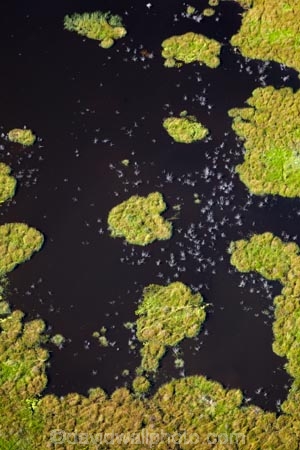 aerial;aerial-image;aerial-images;aerial-photo;aerial-photograph;aerial-photographs;aerial-photography;aerial-photos;aerial-view;aerial-views;aerials;Africa;Botswana;delta;deltas;Endorheic-basin;flood-plain;flood-plains;flood_plain;flood_plains;floodplain;floodplains;inland-delta;internal-drainage-systems;Okavango;Okavango-Delta;Okavango-Swamp;plain;plains;pond;ponds;river-delta;Seven-Natural-Wonders-of-Africa;Southern-Africa;swamp;swampland;swamps;water