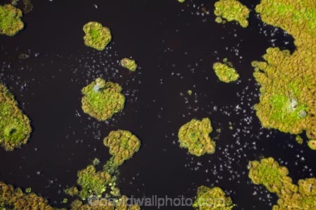 aerial;aerial-image;aerial-images;aerial-photo;aerial-photograph;aerial-photographs;aerial-photography;aerial-photos;aerial-view;aerial-views;aerials;Africa;Botswana;delta;deltas;Endorheic-basin;flood-plain;flood-plains;flood_plain;flood_plains;floodplain;floodplains;inland-delta;internal-drainage-systems;Okavango;Okavango-Delta;Okavango-Swamp;plain;plains;pond;ponds;river-delta;Seven-Natural-Wonders-of-Africa;Southern-Africa;swamp;swampland;swamps;water