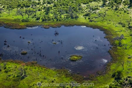 aerial;aerial-image;aerial-images;aerial-photo;aerial-photograph;aerial-photographs;aerial-photography;aerial-photos;aerial-view;aerial-views;aerials;Africa;Botswana;delta;deltas;Endorheic-basin;flood-plain;flood-plains;flood_plain;flood_plains;floodplain;floodplains;inland-delta;internal-drainage-systems;Okavango;Okavango-Delta;Okavango-Swamp;plain;plains;pond;ponds;river-delta;Seven-Natural-Wonders-of-Africa;Southern-Africa;swamp;swampland;swamps;water